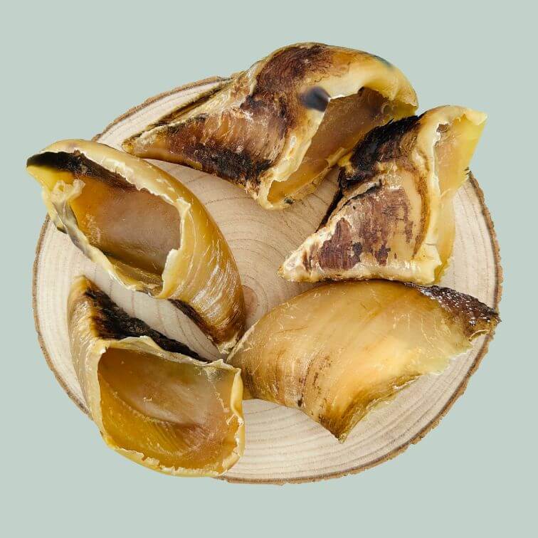 5 dried cow hooves for dogs on a wooden slice plate and jade green background.