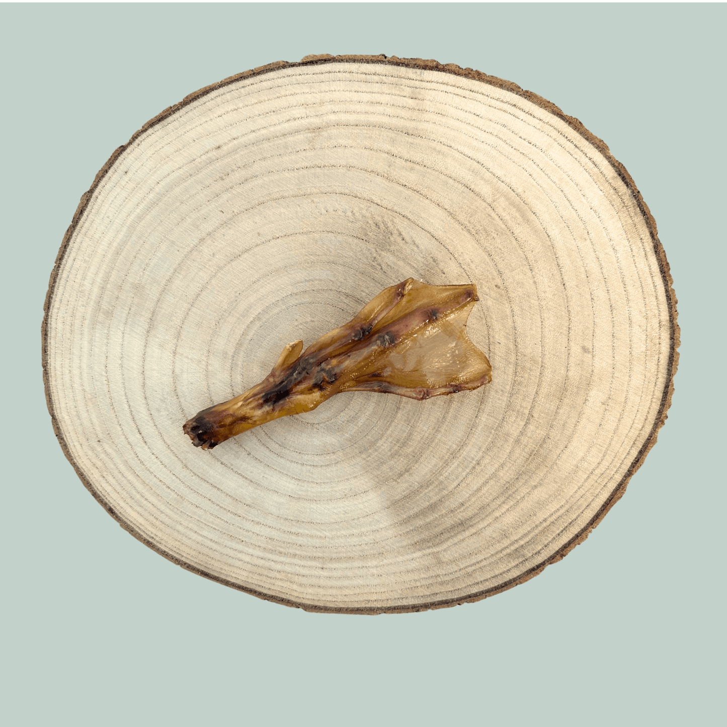 A single duck foot dog treat on wooden plate in front of a jade green backdrop.