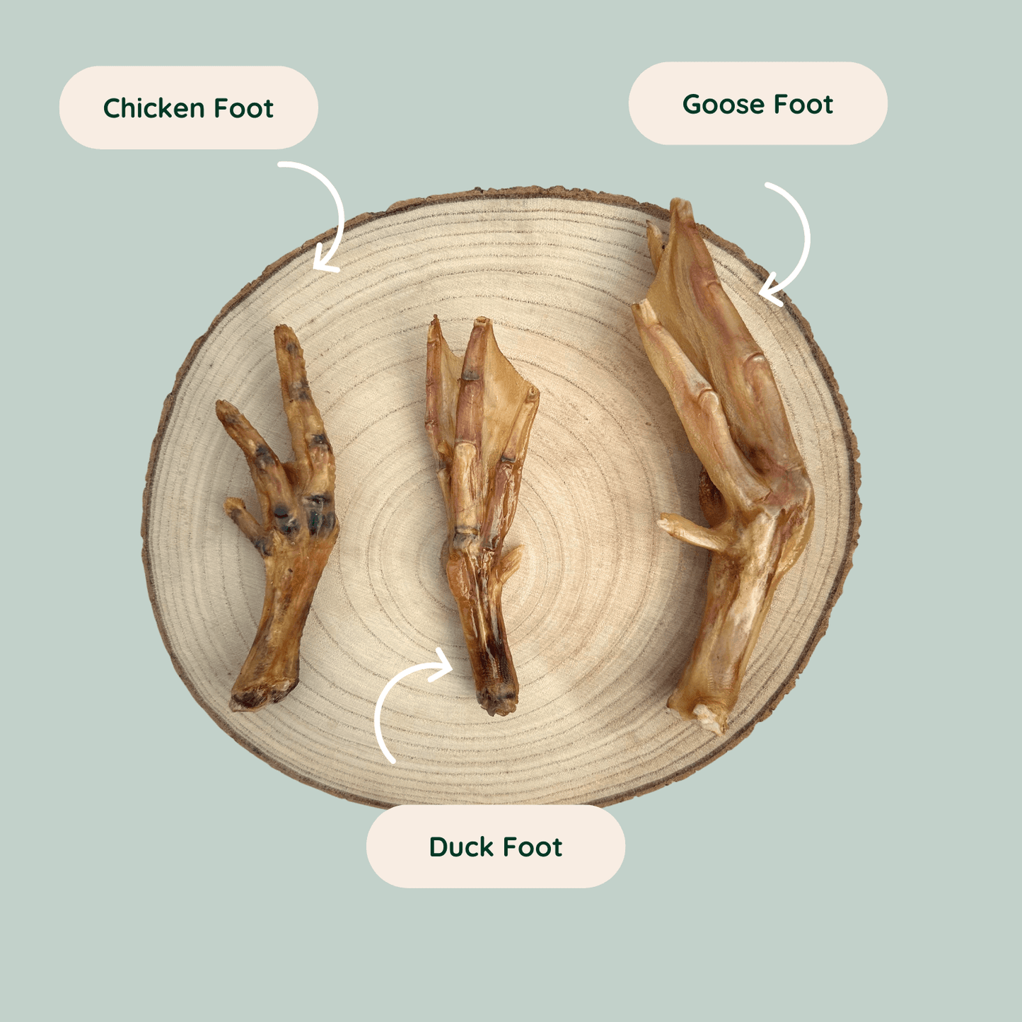 A dried chicken foot, duck foot, and goose foot dog treat on a wooden slice plate against a green backdrop. The image shows the size comparison between the different dog chews.