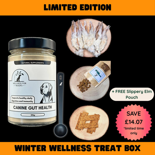 Canine gut health supplement jar with dog treats and a pouch on a black background