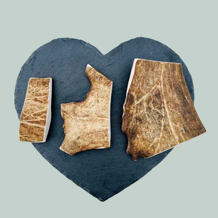 Full range of fallow deer antlers for dogs on a slate plate and jade green background