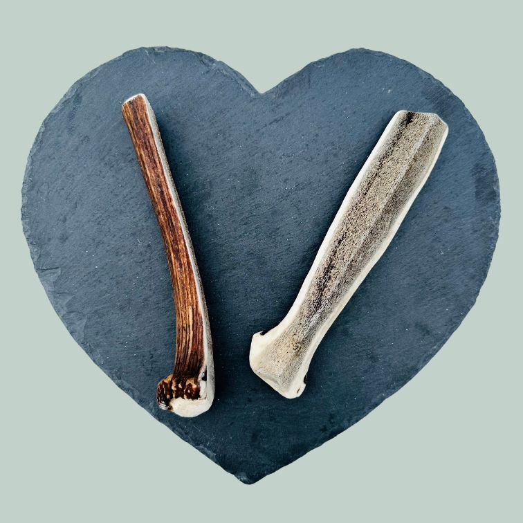 Large split deer antlers for dogs on a slate plate and jade green background