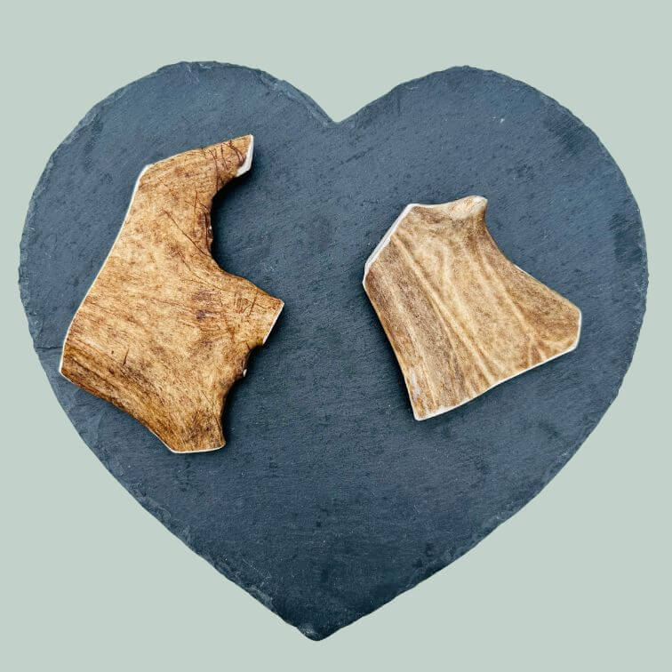Medium fallow deer antlers for dogs on a slate plate and jade green background