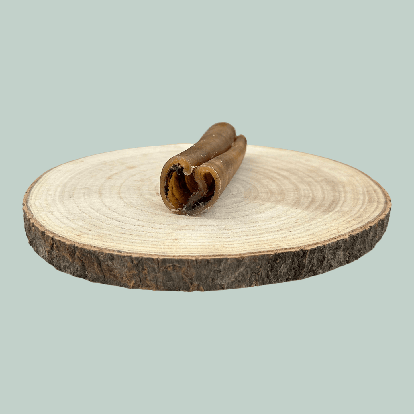 Side view of a single small roll of dried camel skin natural and healthy long lasting dog chews on a wooden slice plate against a jade green background.