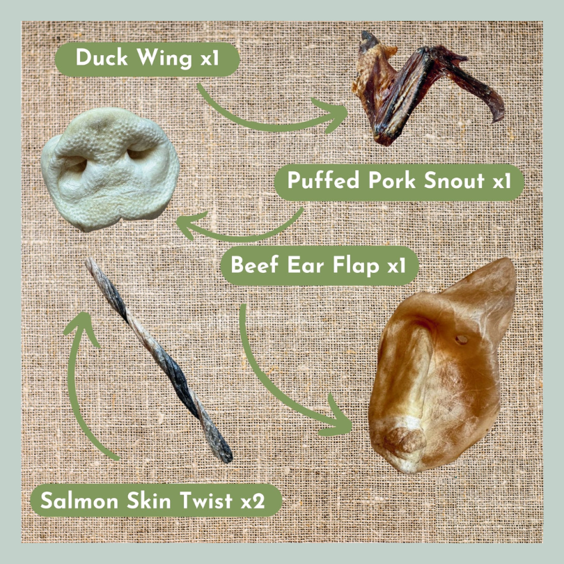 Duck wings, puffed pig snout, beef ear flap and salmon skin twist stick from a natural and healthy treats box of chews for dogs that are old, senior or aging.