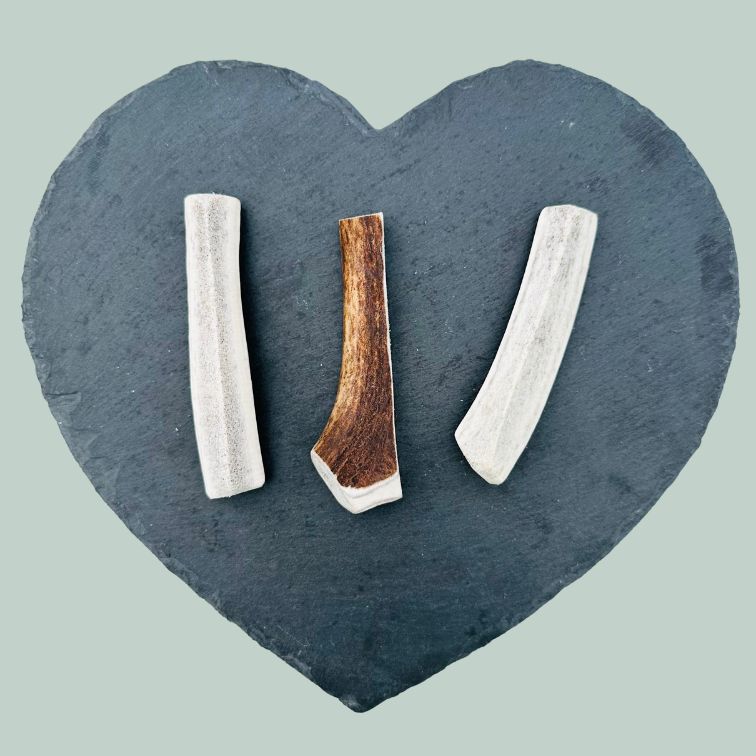Small split deer antlers for dogs on a slate plate and jade green background