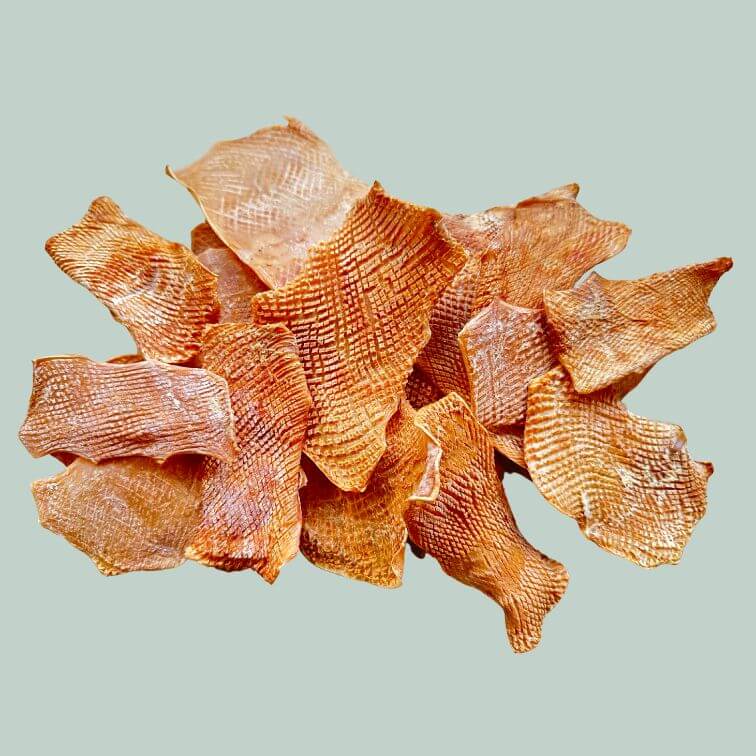 250g squid chew crisps for dogs on a jade green background