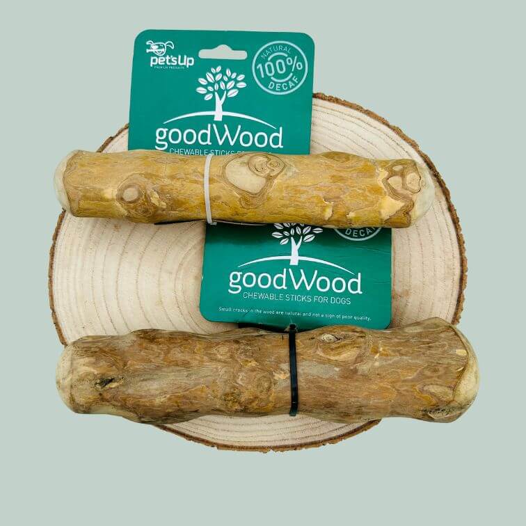 Two coffee wood chews for dogs on wooden plate and jade green background