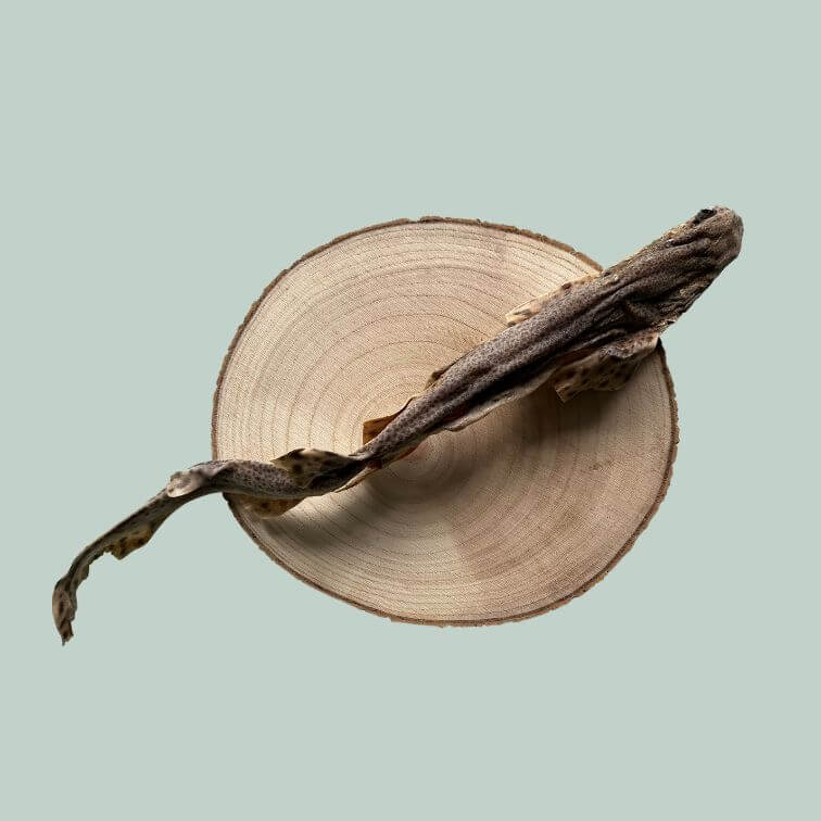 Dried dog fish chew for dogs on a wooden slice plate and jade green background