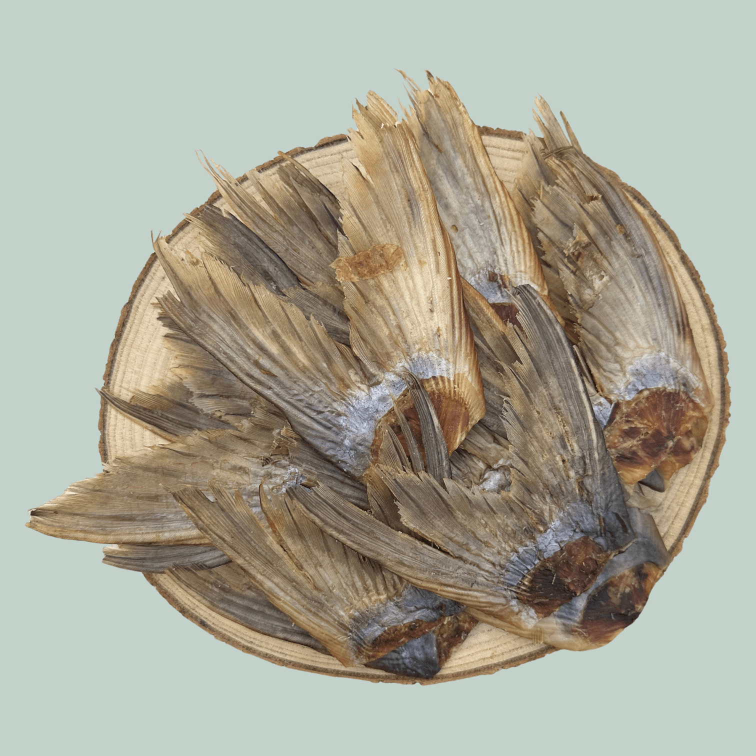 Pile of dried catfish tail natural and healthy dog treats on a wooden slice plate against a jade green background