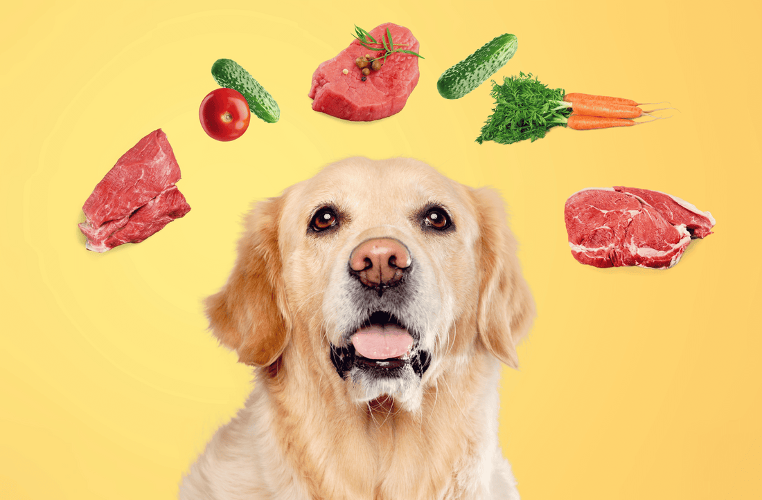 What's on Your Dog's Plate? Unmasking Raw Feeding Myths: The Real Deal (Part 3)