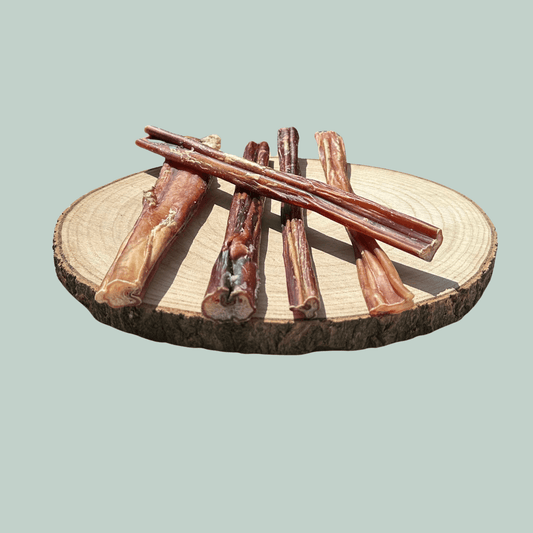 Side view of 5 long pizzle sticks for dogs on a natural wood plate against a jade green background