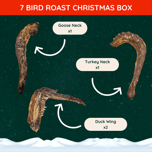 Dried goose neck, turkey neck and duck wing dog treats set against a dark green starry background with a blanket of snow across the bottom. Some of the contents of a Christmas treat box for dogs.