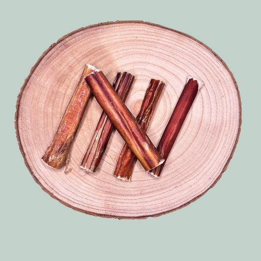A pack of 5 dried bull pizzle sticks or bully sticks chews as a natural healthy treat for dogs