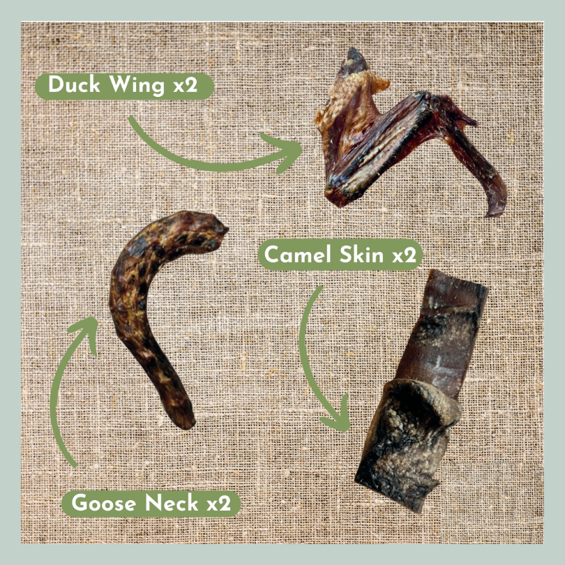 Duck wings, camel skin and goose neck from a hypoallergenic allergy control natural healthy treat box for dogs and puppies