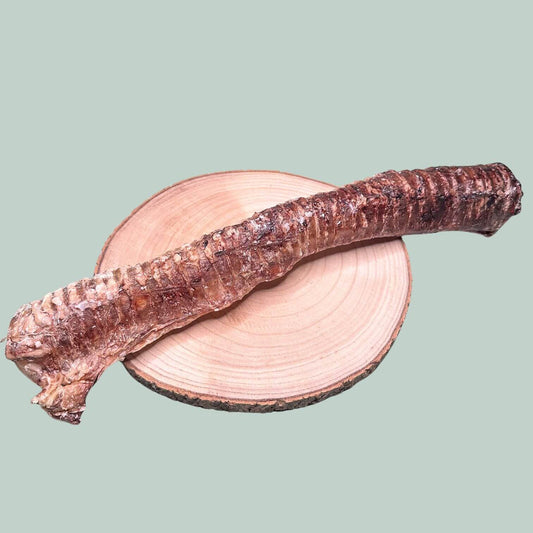 A large dried beef oesophagus trachea healthy treat and chew for dogs and puppies.