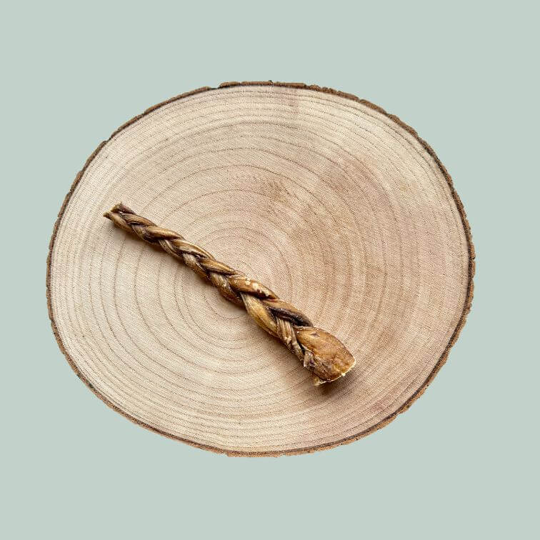 Individual braided pizzle stick chew for dogs on a sliced wooden plate and jade green background