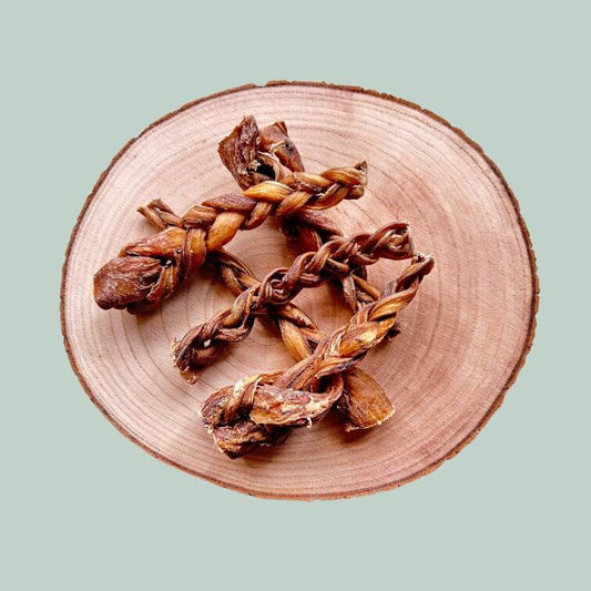 5 Braided pizzle sticks for dogs on a wood slice plate and jade green background