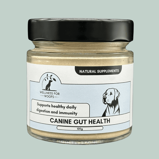 Canine Gut Health