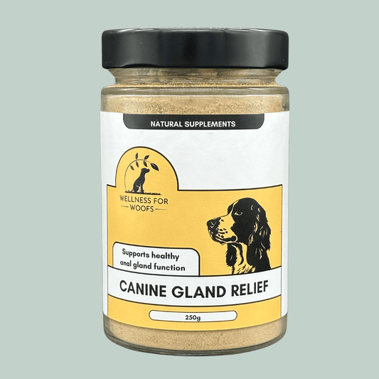 Canine Gland Relief