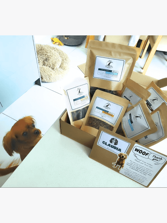 Cavalier King Charles Spaniel looking up at a box of dog treats on a kitchen worktop