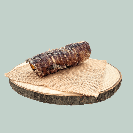 Cut beef trachea natural dog chew on a wooden slice plate against a jade green background.