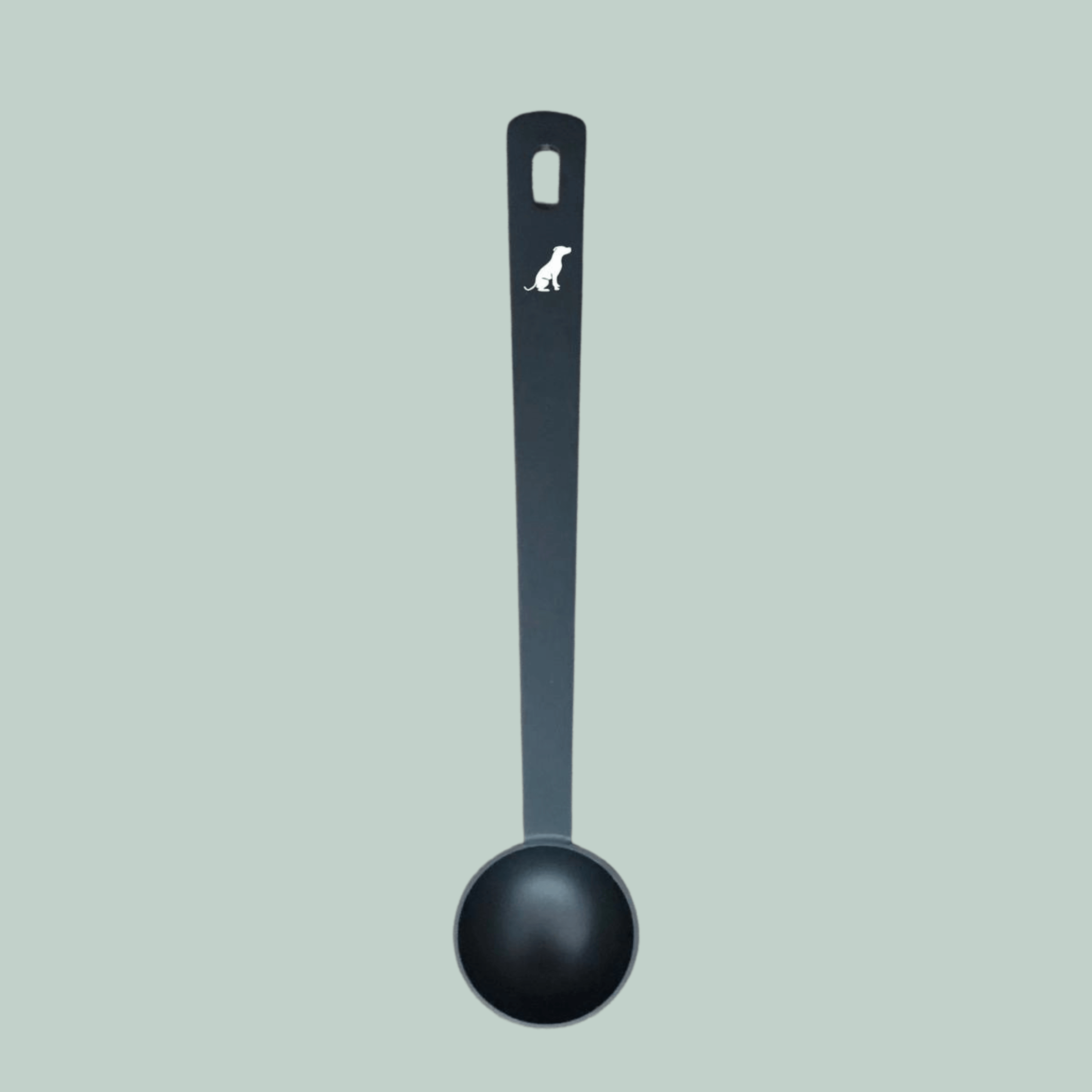 Stainless Steel Measuring Spoon for Dog Supplements & Superfoods ...
