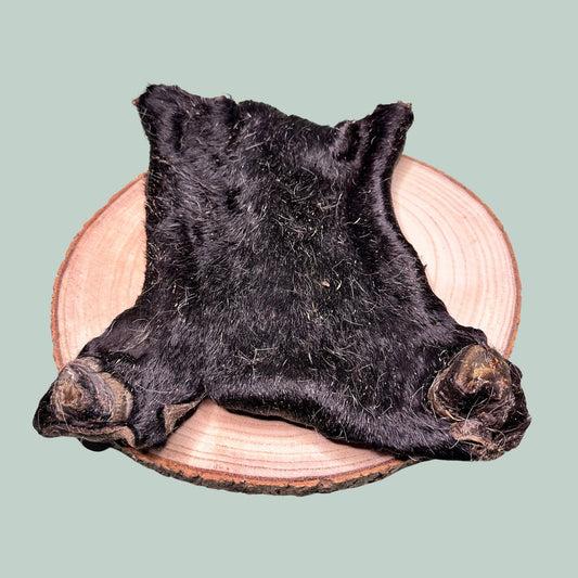 Dried beef bark cow skin plate natural healthy dog treat and chew