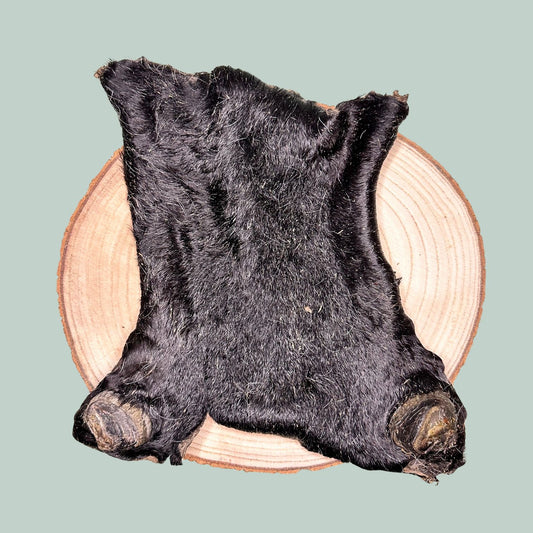 Dried beef bark skin plate natural healthy treat for dogs