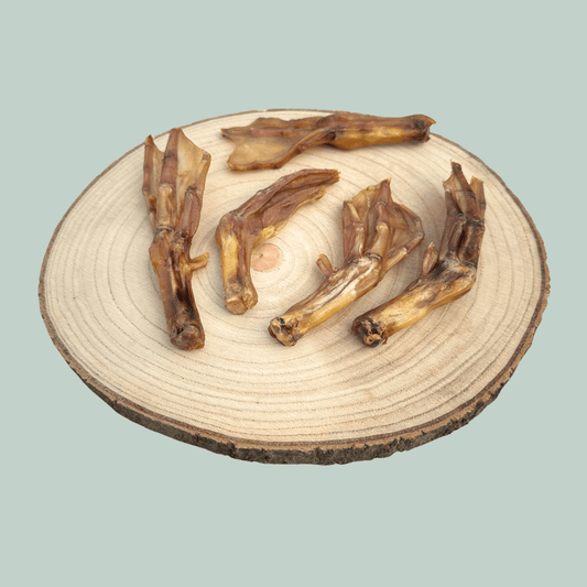 Five dried duck feet dog treats on wooden plate in front of a jade green.