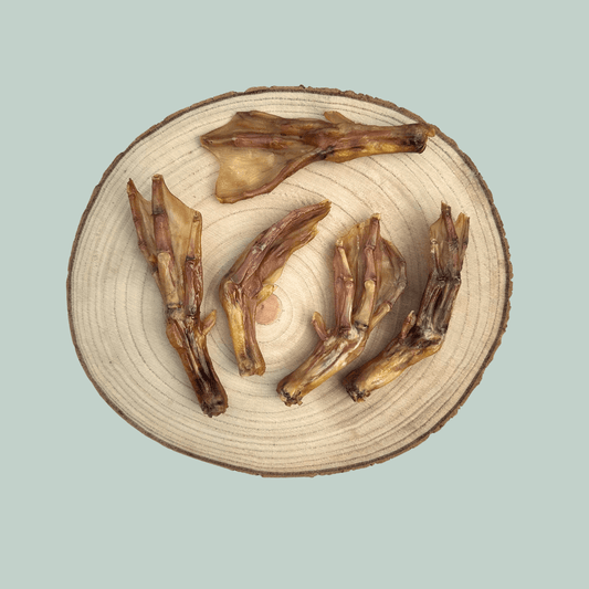 Five dried duck feet dog treats on wooden plate in front of a jade green backdrop.