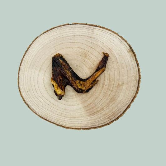 Dried duck wing dog treat on a wooden slice plate and jade green background