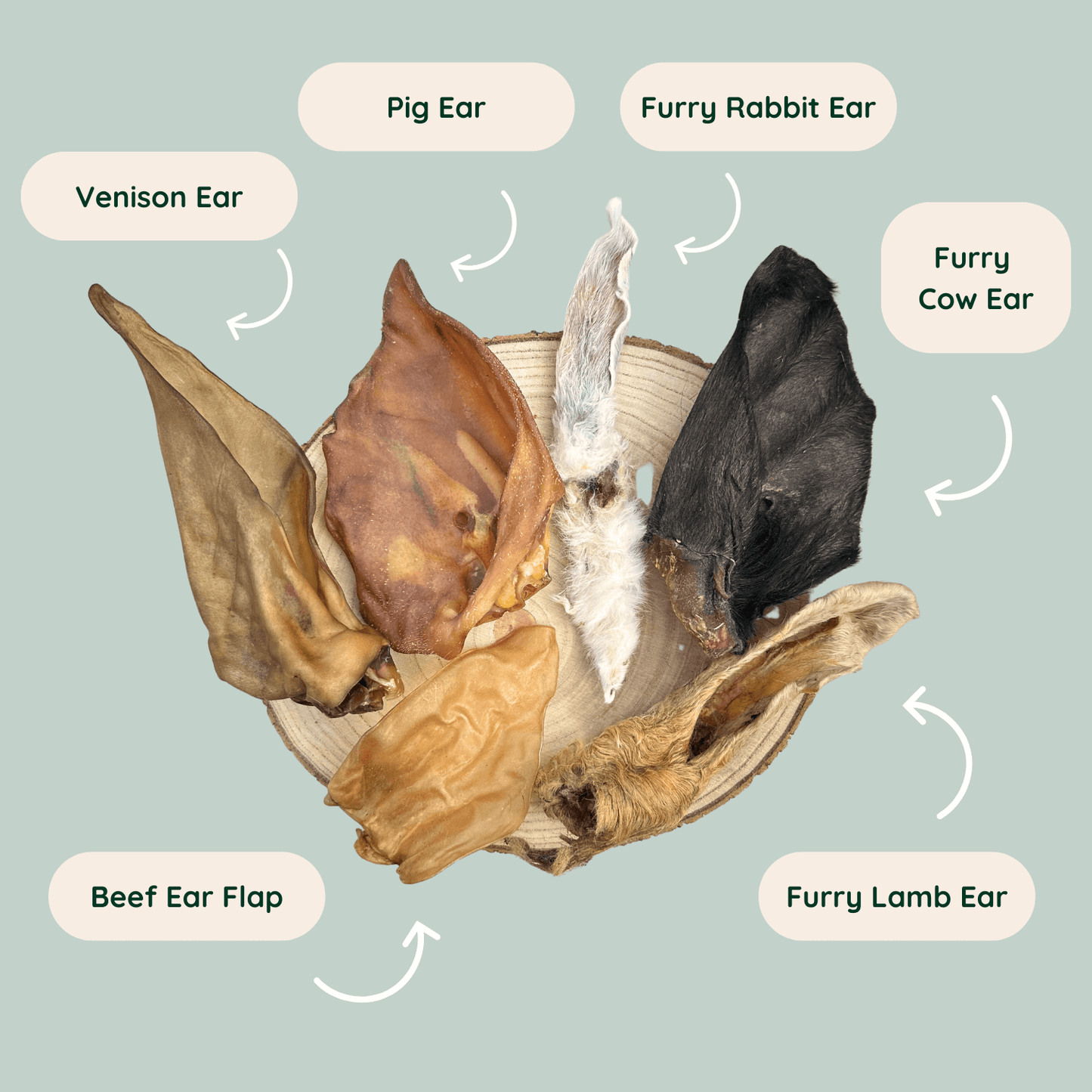 Size comparison of venison ears, pigs ears, furry rabbit ears, furry cow ears, furry lamb ears and beef ear flap dog chews.
