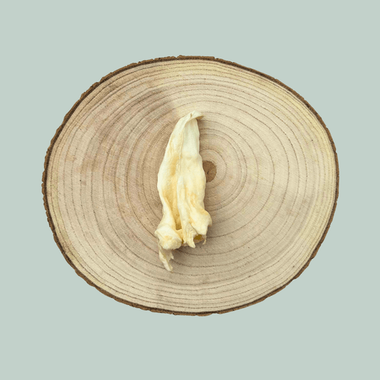 Single dried lamb ear natural dog chews on a wooden slice plate against a jade green background
