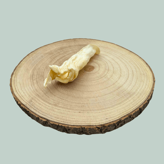 Side view of single dried lamb ear natural dog chews on a wooden slice plate against a jade green background