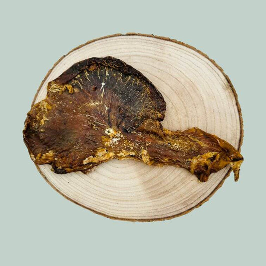 Dried pig stomach dog treat on a wooden slice plate and jade green background