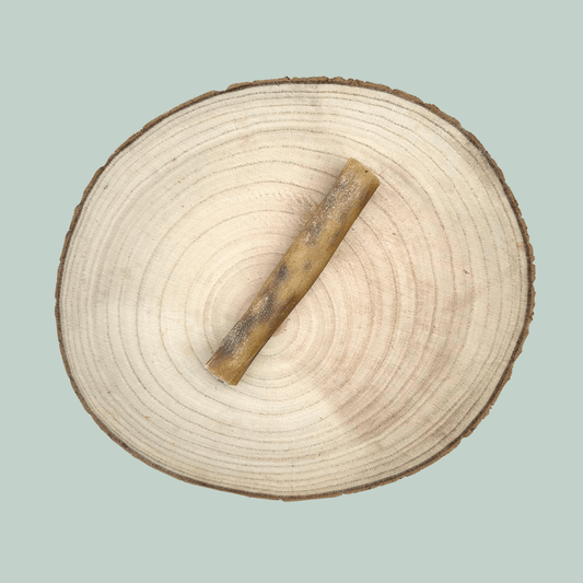 A slice of venison skin chew for dogs on a wooden plate against a jade green background.