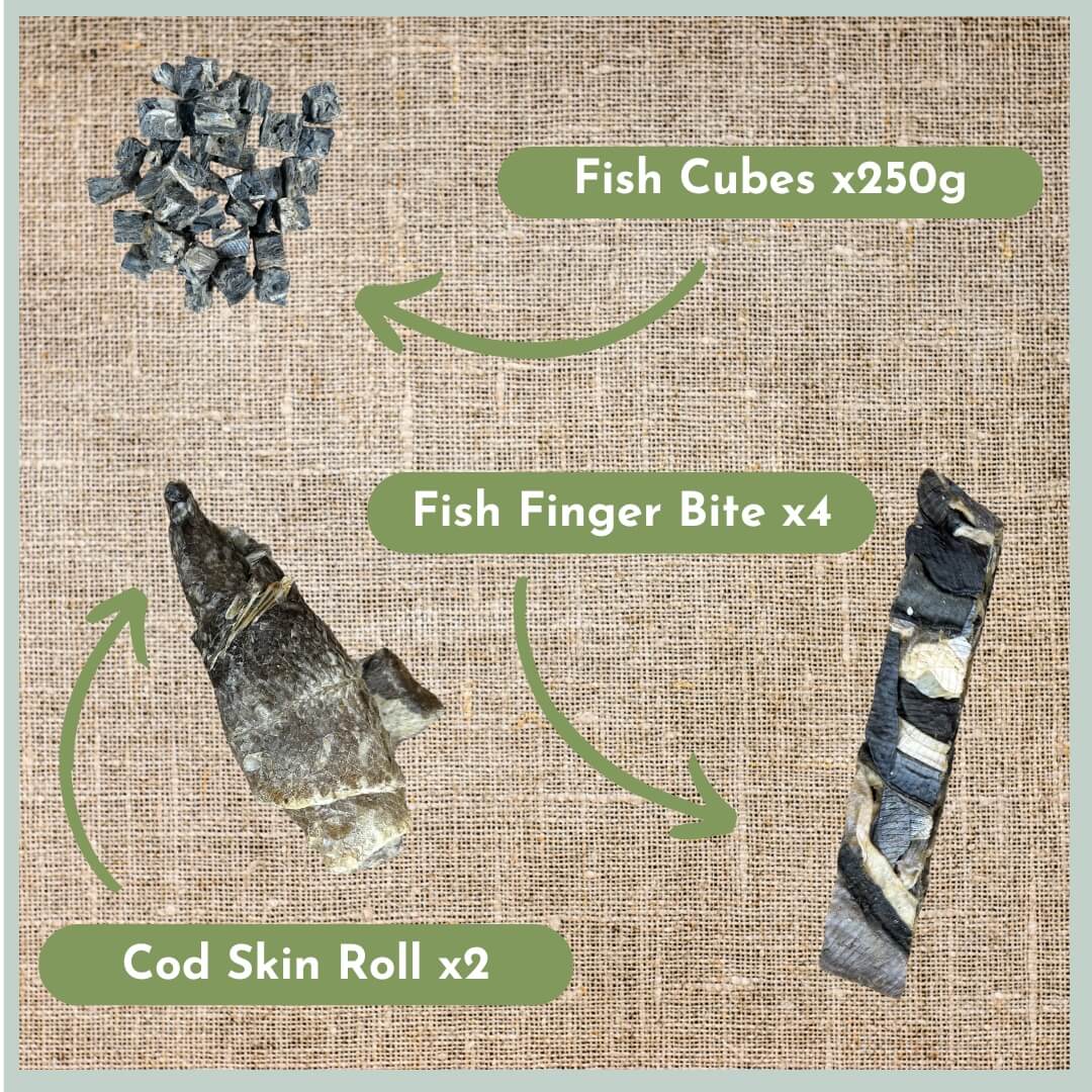 Variety of fish treats for dogs from a fish treat box including fish cubes, fish finger bites and cod skin rolls