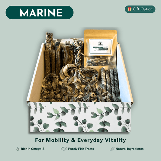 Box of fish dog treats with a decorative eucalyptus design on a light green background.