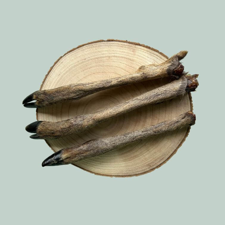 3 furry deer leg dog chews on a wooden plate and a jade green background