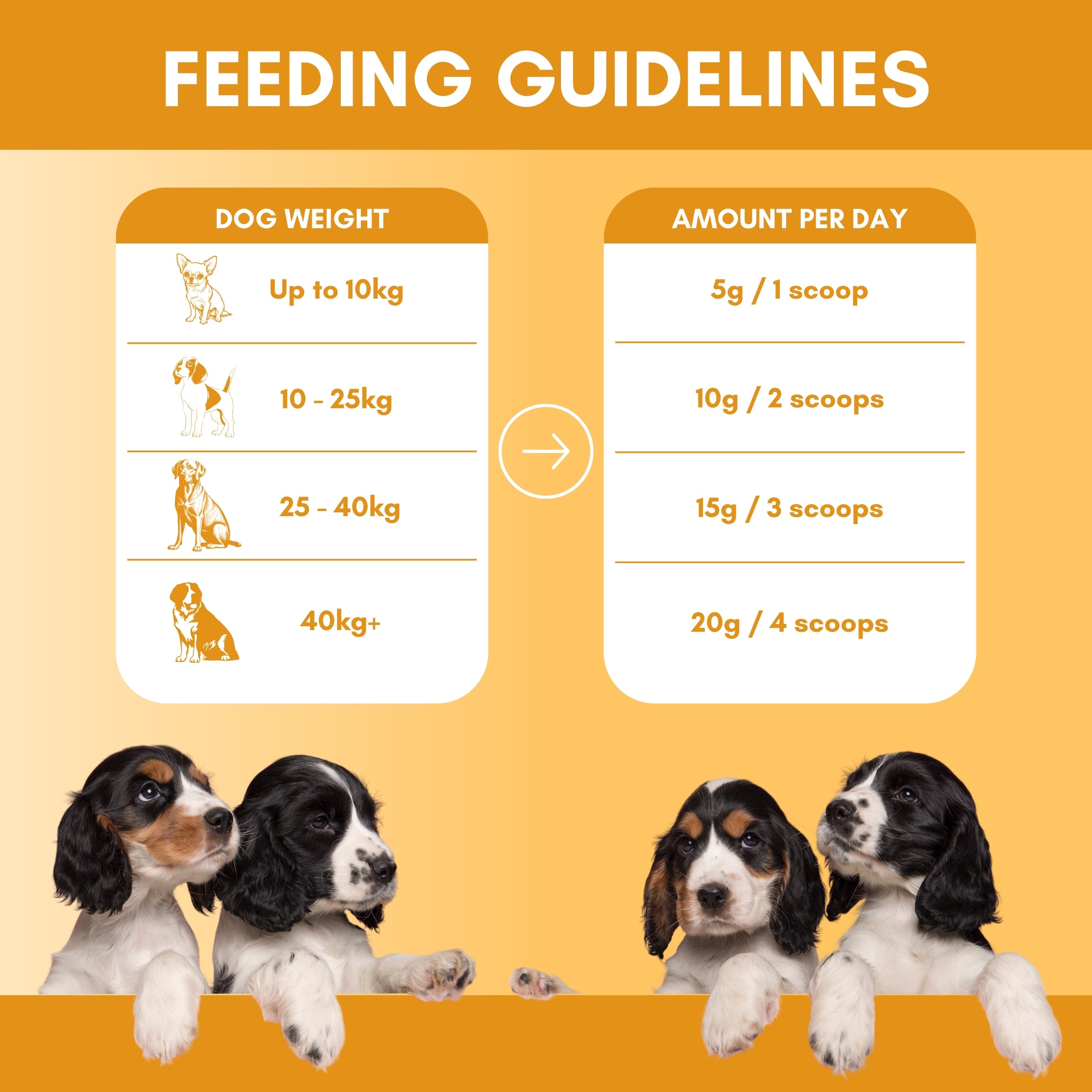 Feeding guidelines for dog stop scooting anal gland supplement with images of puppies on an orange background