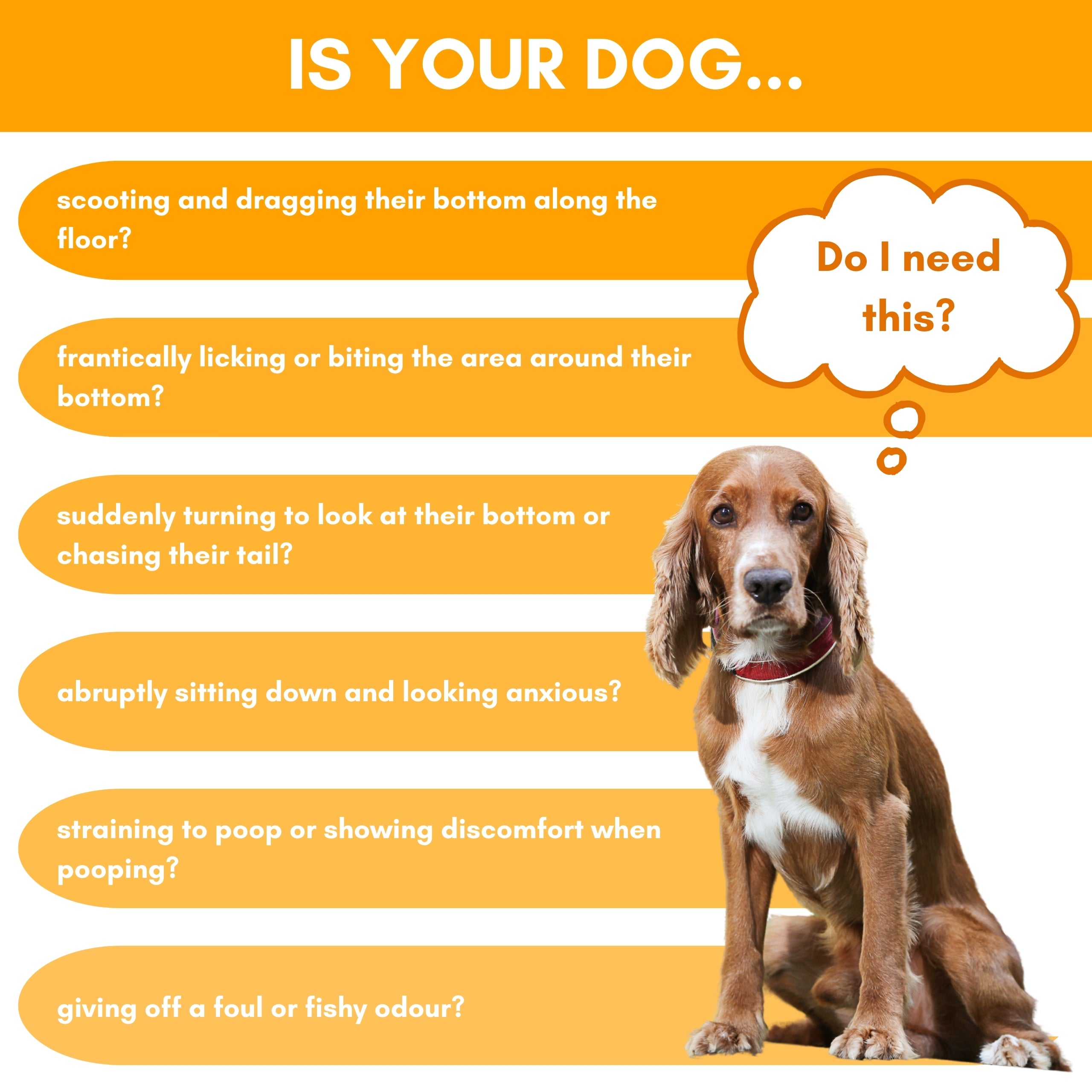 Dog with a thought bubble and list of dog behavior issues related to blocked canine anal glands on an orange background