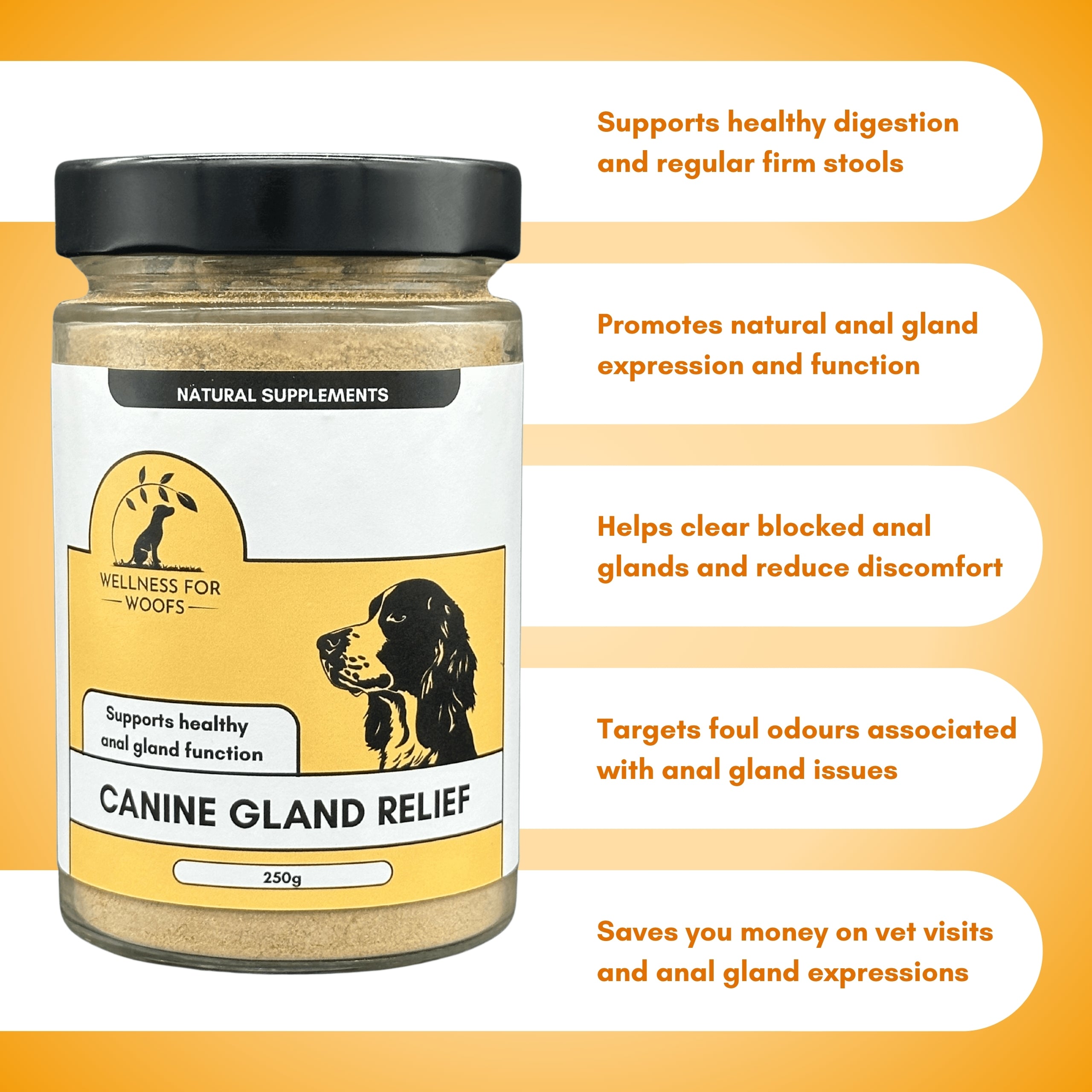 Jar of 'Canine Gland Relief' dog scooting supplement for dogs with wellness benefits on an orange background