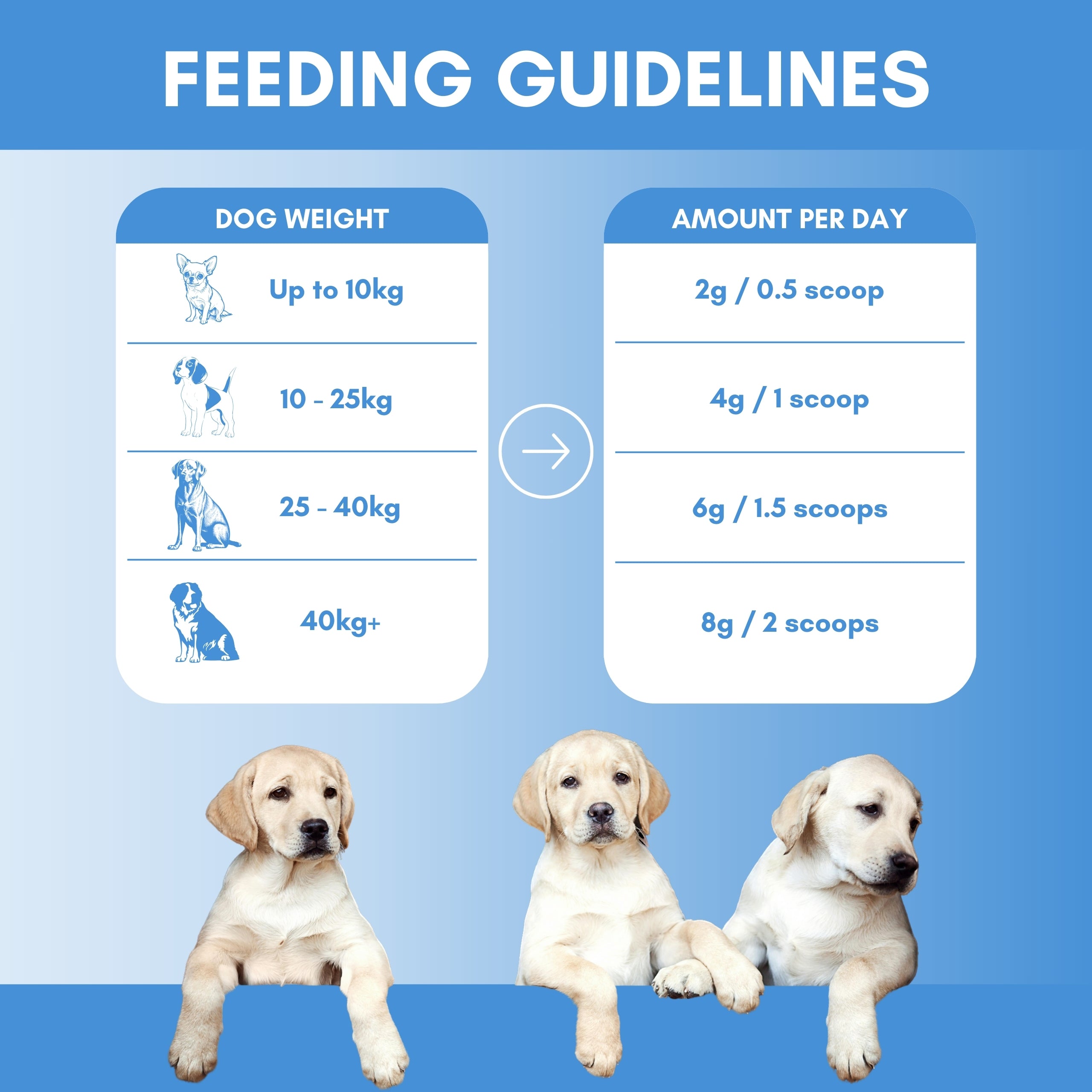 Feeding guidelines of probiotic supplement for dogs with images of puppies on a blue background