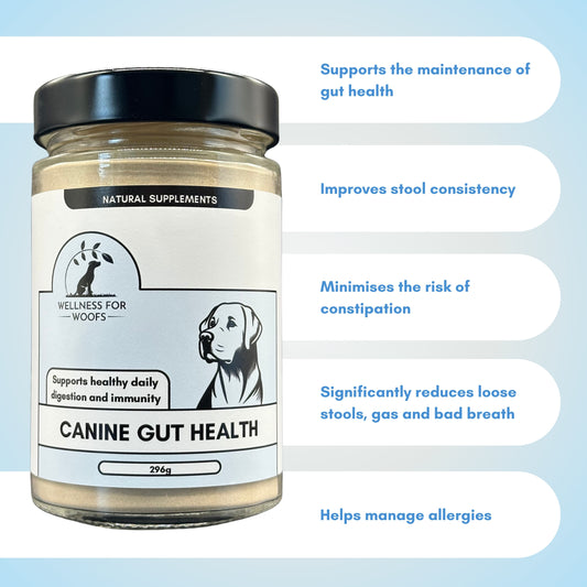 A large jar of 'Canine Gut Health' probiotic supplement for dogs with a list of the natural and healthy benefits for dogs.
