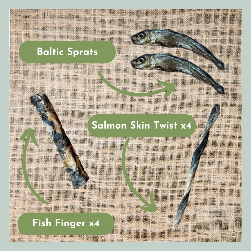 Baltic sprats, salmon skin twists and fish fingers from a natural and healthy dog treat box to support healthy skin and coat