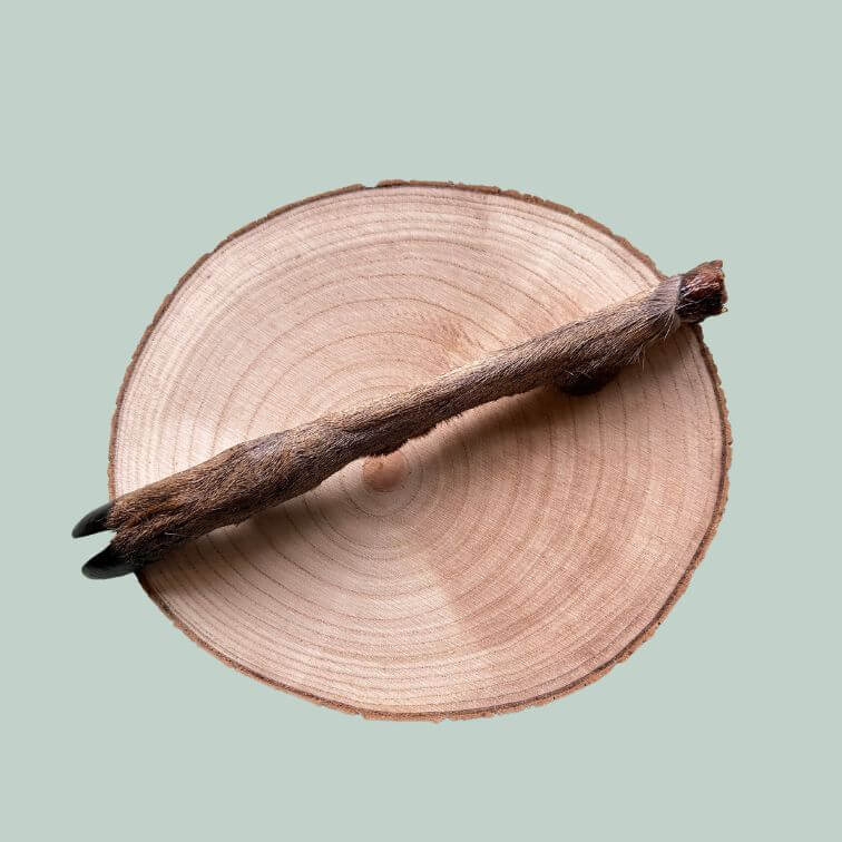 A single furry deer leg chew for dogs on a wooden slice plate and jade green background
