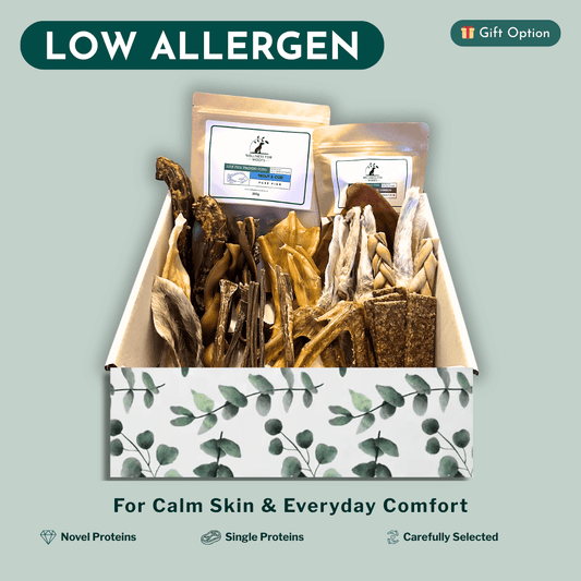 Box of low allergen dog treats with a green leafy pattern on a light green background.