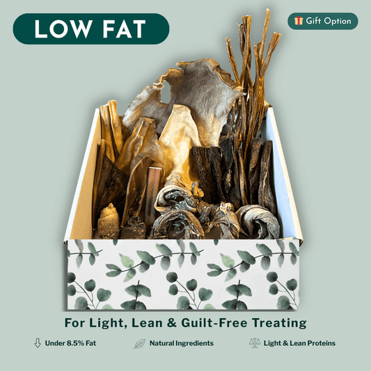 Decorative box of dog treats with natural elements on a light green background, featuring text about low fat dog treats and healthy natural chews.
