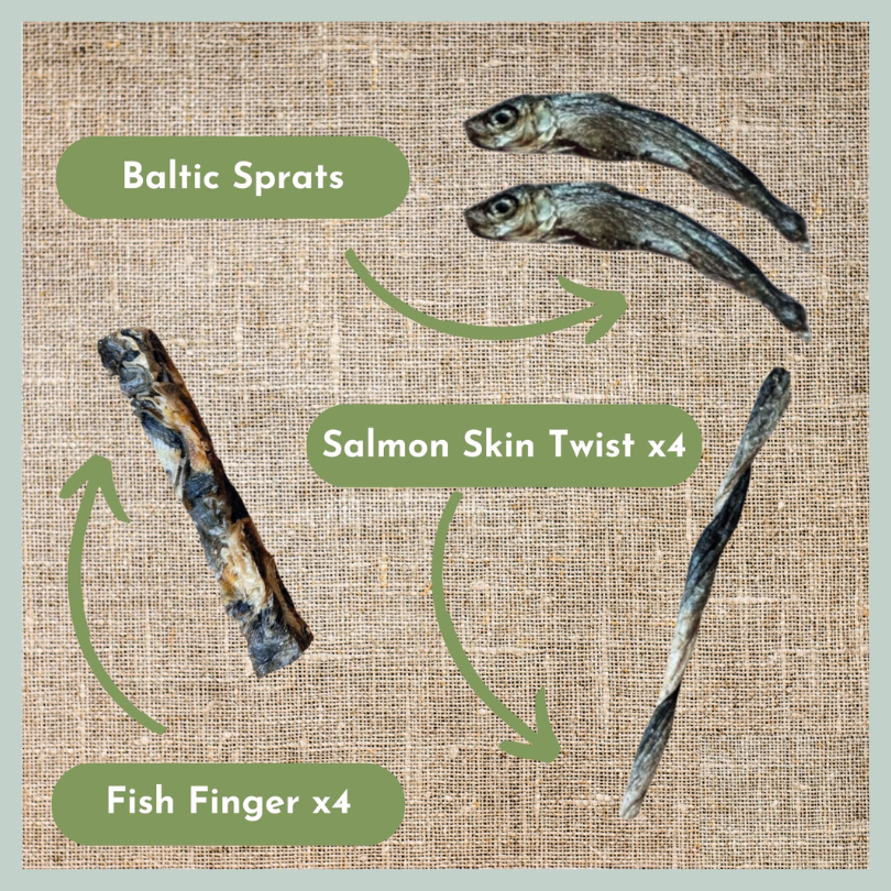 Pouch of baltic sprats, salmon skin twist sticks and fish finger sticks from a fish natural treat box for dogs and puppies